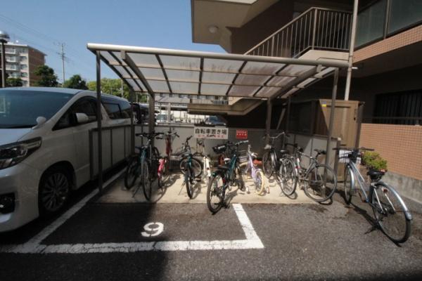 ウィスタリアオーク