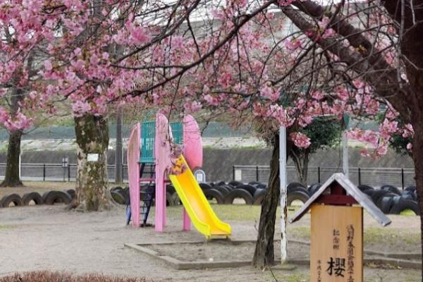 リブリ・WaldFlourish(宮脇公園)