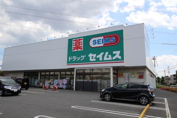 新町貸家(ドラッグストアセイムス)