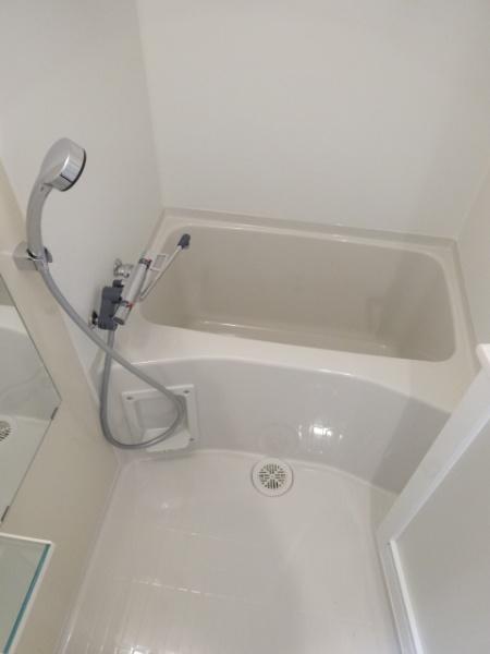 ディアレイシャス港区海岸