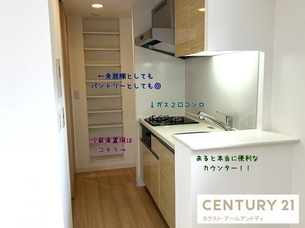大阪市西区新町１丁目のマンション