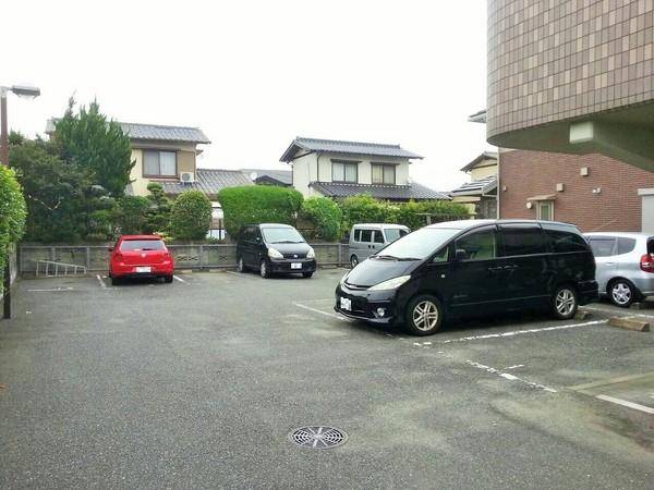 ウェルシーライフ