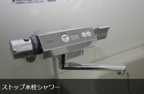 ホワイトエクセル
