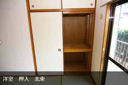 ホワイトエクセル