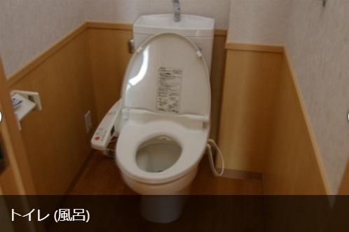 キャメロットリブ