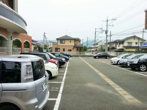 キャメロットリブ