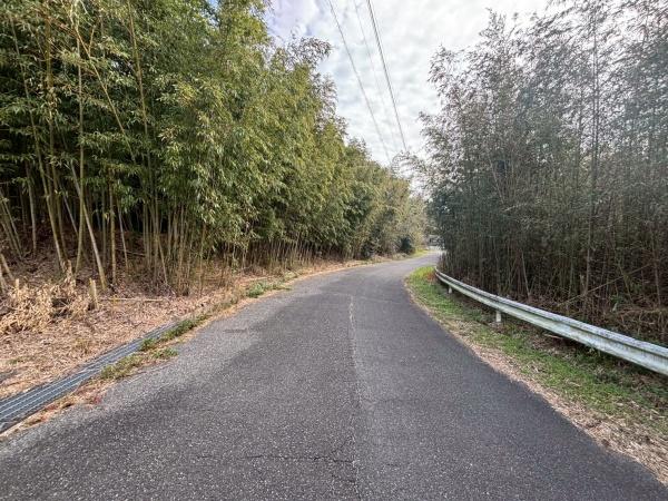 糸島市志摩馬場貸地