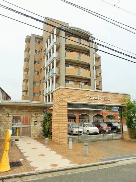 キャメロットリブ