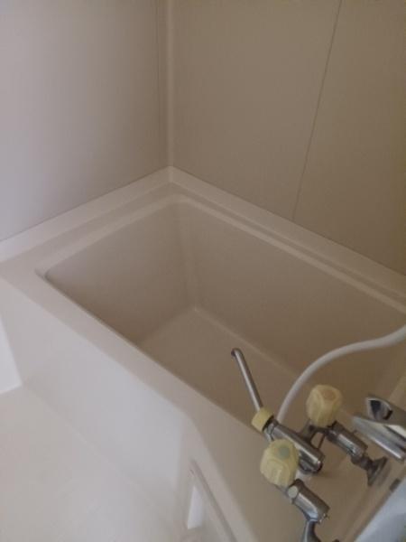 ファーストライブ(バス)