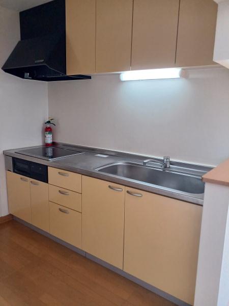 アナスタシーヤすえひろ