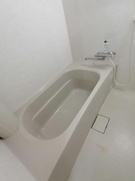 スカイフェリーチェⅤ