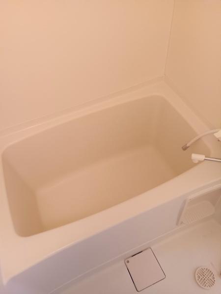 ノースコート19