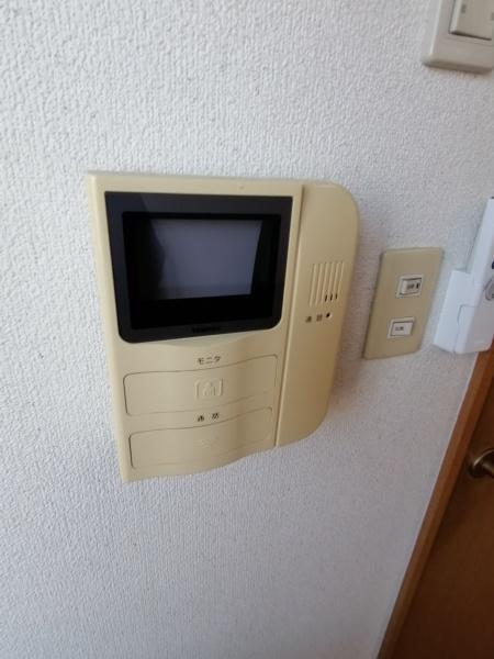 ローダンセ