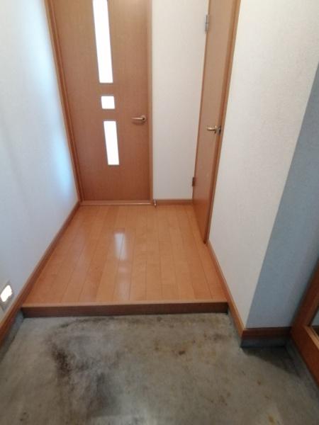 ローダンセ