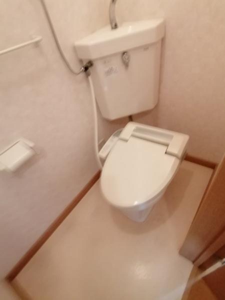 ローダンセ