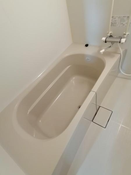 イリス25