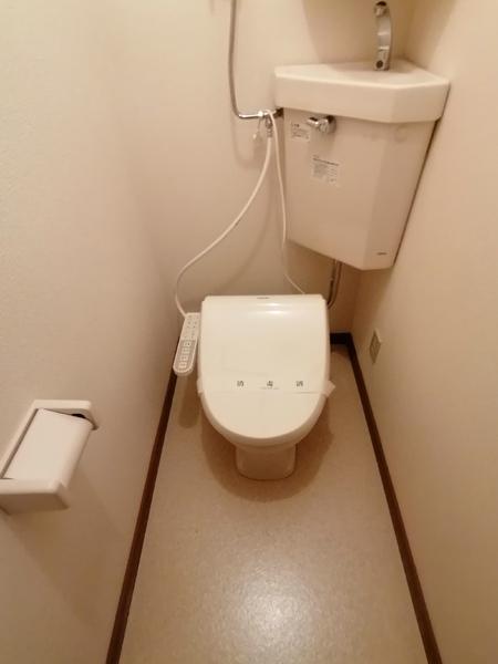 イリス25