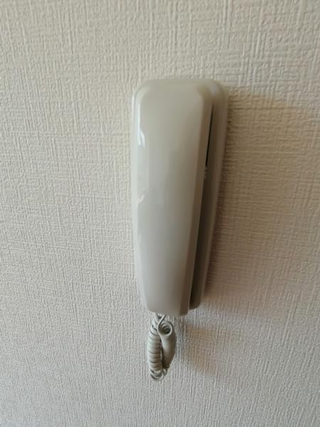 ヴィヨーラ