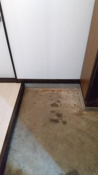 シャンパニー