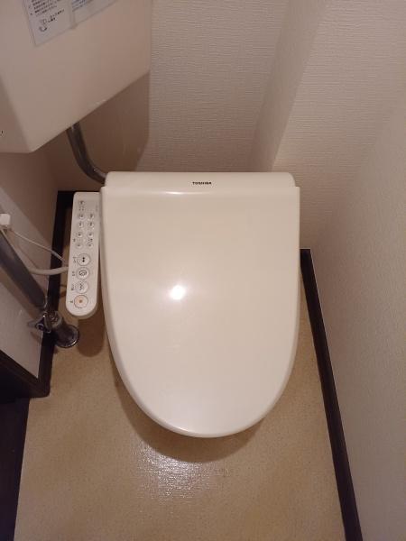 ピンクウェーブⅠ