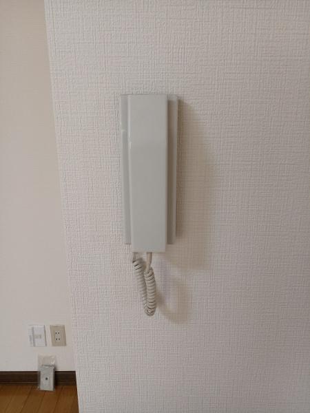ピンクウェーブⅠ