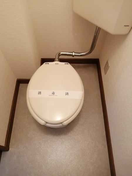 プルメリア