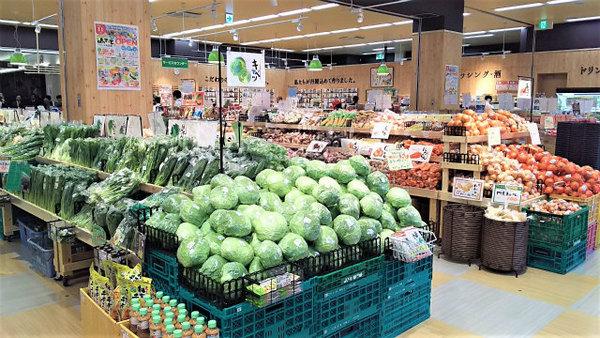 レアル守口(産直市場よってってベアーズ大日店)