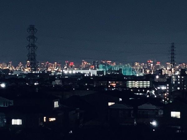 ラフィット・ソルティ