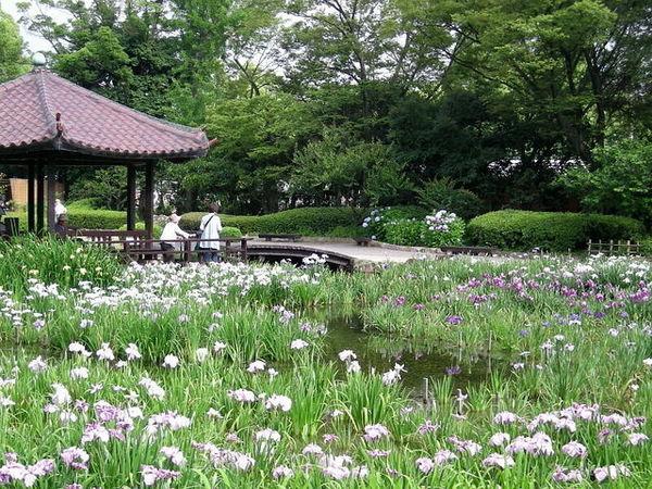 レスポワール城北(城北公園)