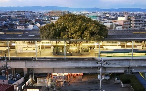藤村ハイツ2(萱島神社)