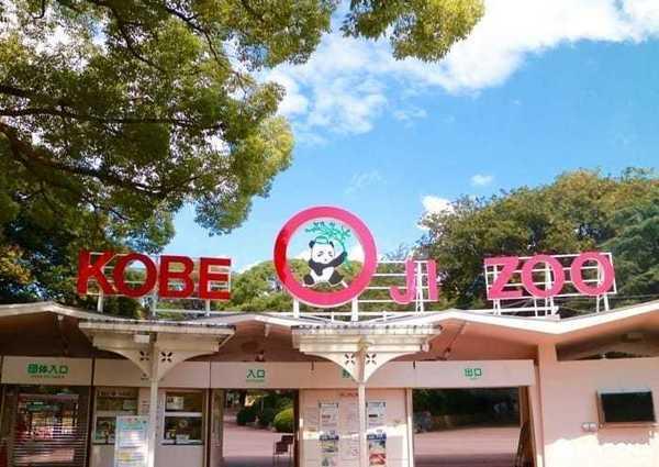 真弓ビル(神戸市立王子動物園)