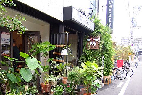 オリエンタル上町(萌)