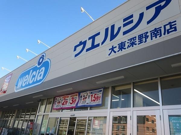 住道パークハイツ(ウエルシア大東深野南店)