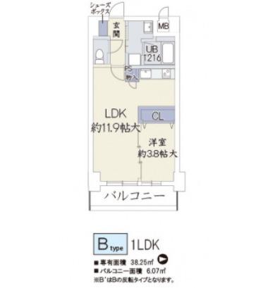 クリプトメリア日本橋