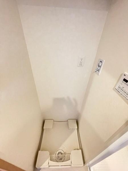 クリプトメリア日本橋