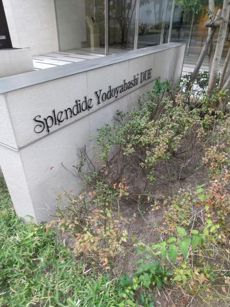スプランディッド淀屋橋ＤＵＥ