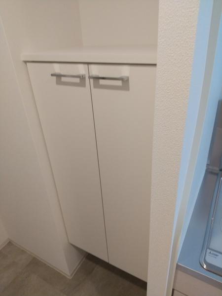 セレニテ心斎橋グランデ