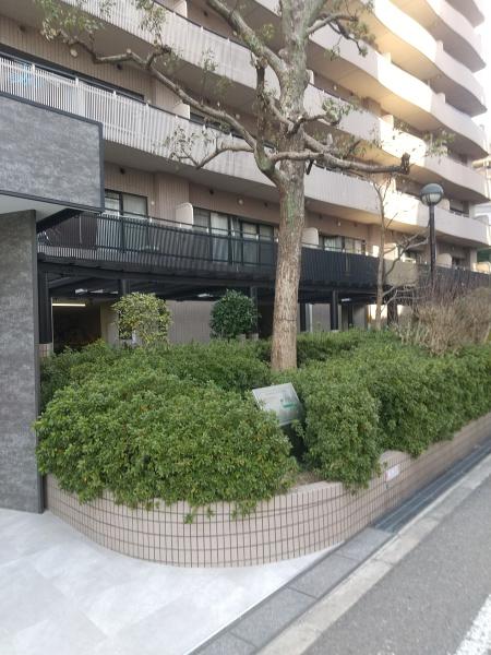 グランソレイユ日本橋