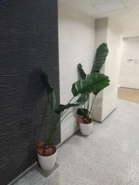 BRAVI南堀江