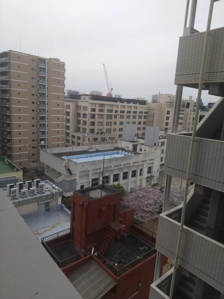 SERENiTE日本橋SUD