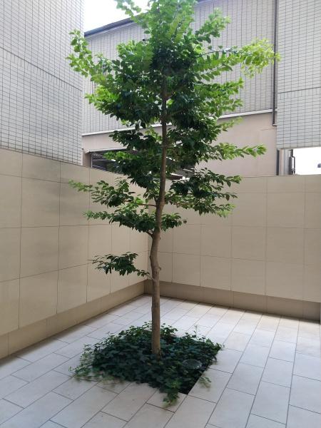 ドゥーエ谷町