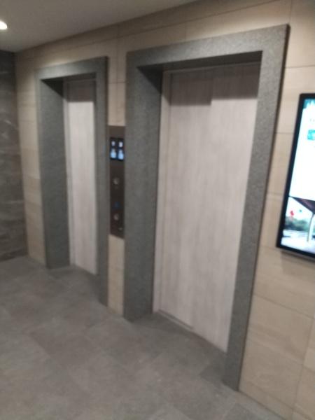 セレニテ本町東リアン(エントランス)