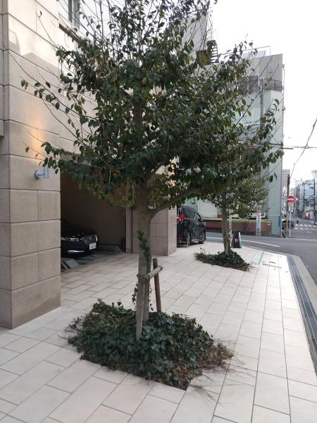 コスモリード谷町六丁目