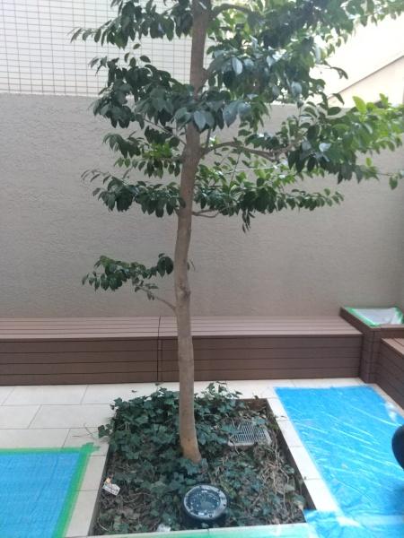 コスモリード谷町六丁目