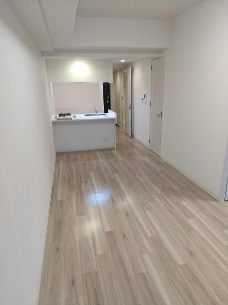 プレサンス心斎橋ニスト
