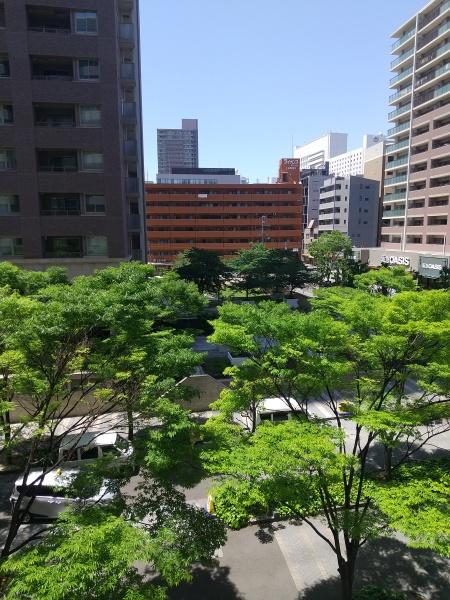 ロイヤルパークス桃坂