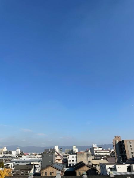 セグレスト平野