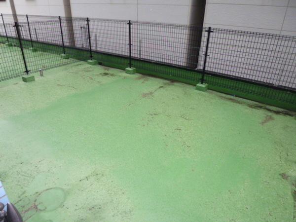 ラビオーレ