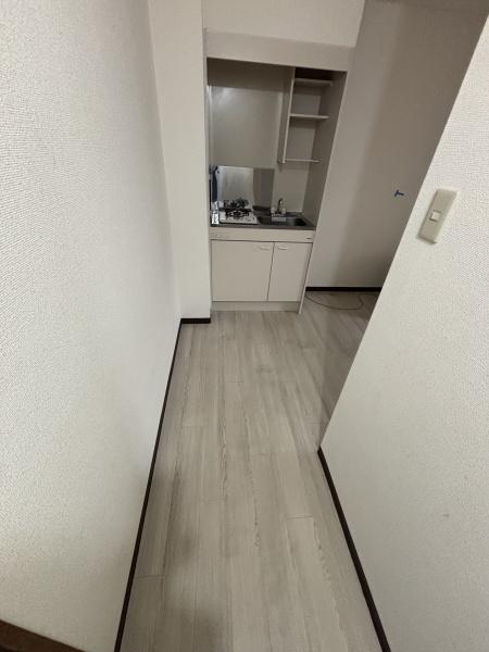ビクトリー平野