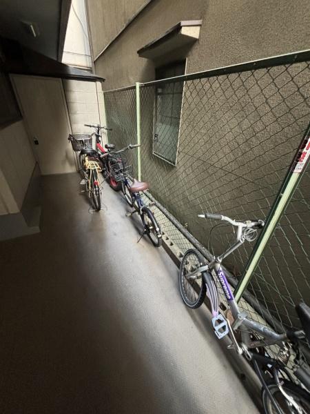 ビクトリー平野